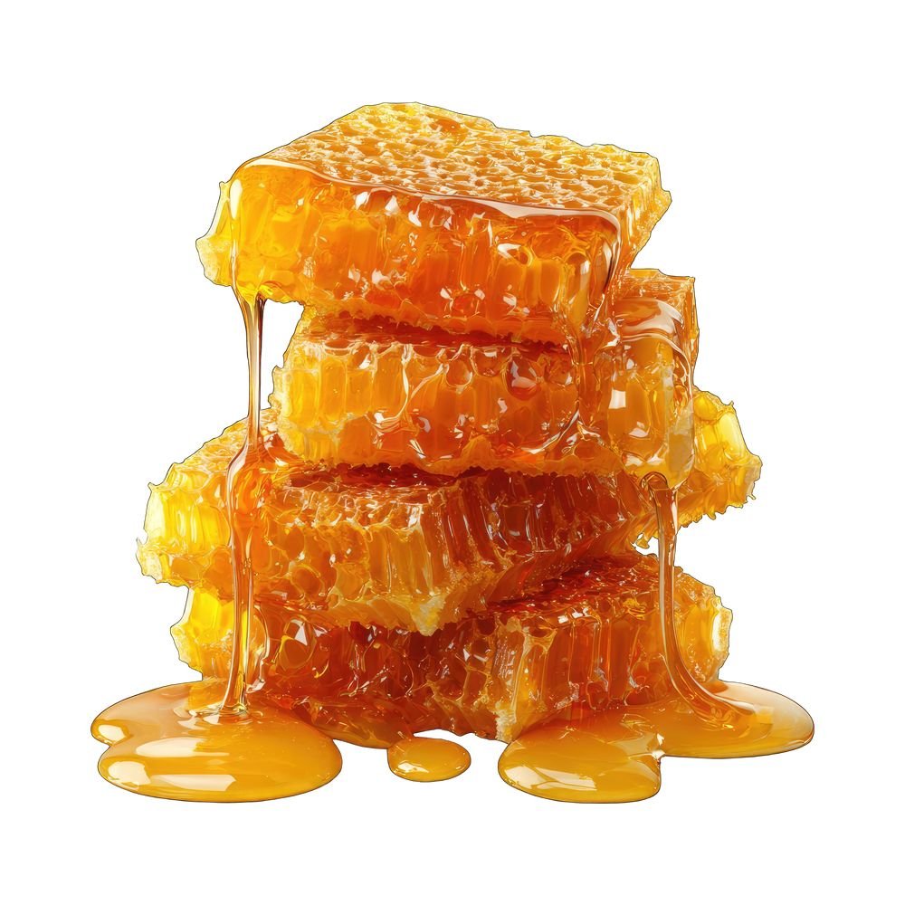 Himalayan Wild Forest Honey